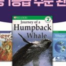 써밋잉글리쉬학원 이미지