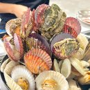 신조개천국 이미지