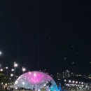 돼지보쓰 이미지