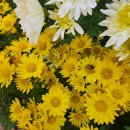 혜윰한의원 이미지