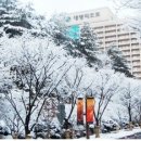 소백당구장 네이버블로그
