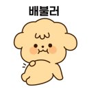 포카드 홀덤펍 이미지