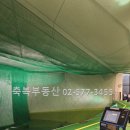 클럽컬리넌 이미지