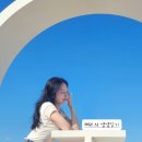 [공지] [2023 연말보고서] 12/31에 적는 올해 블로그 결산! 협찬 다 떼고 시원솔직하게 말해보는 시간^^~
