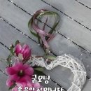 모든날이 행복하기를 이미지