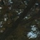 서울하늘치과의원 이미지