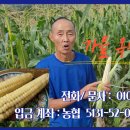 정영농장 네이버블로그