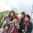 양희농장 이미지