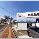 정읍사랑병원 | 전주동물병원 고양이 진료 특출나네요! (feat. 김제, 정읍)