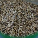 여주-0085 이미지