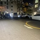 나브로즈네일 이미지
