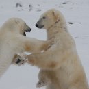 유영석농장 이미지