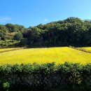 연강농장 이미지