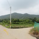 칠곡 노석리 마애불상군 이미지