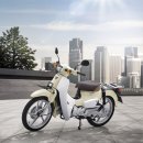 새한국슈퍼 이미지