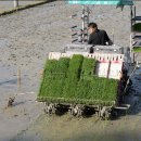 주천면 하주마을 이미지