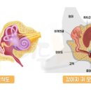 메디팜세종약국 이미지