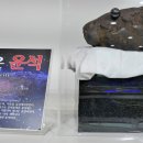 화진포생태박물관 이미지