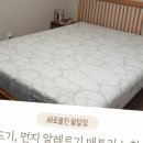 매트리스소파카펫에어컨새로클린 이미지