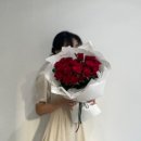 디어리플레르 이미지