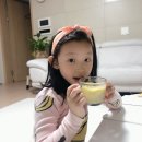 지웰MTA태권도 네이버블로그