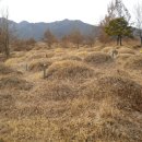 곡성-167 이미지