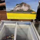 제주마당 | (39개월 아이랑)산방산 맛집, 제주 올레마당 생선구이 후기