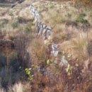 경지 태양광발전소 이미지