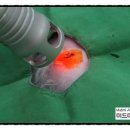 미드미 동물의료센터 이미지