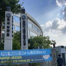 세종 컵과일 정부세종청사 교육청 직접 가져다드리는 탑브릭스보람점
