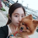 정애분식 이미지