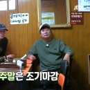 도깨비반점 이미지