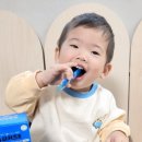 포헬라 이미지