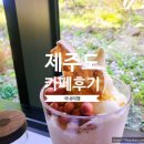 [국내카페] 제주도 - 서귀포 사진 스팟이 많았던 오설록 티 뮤지엄 카페 방문 후기 (feat. 올레길 14-1)
