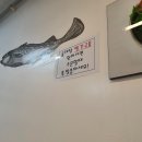 오로지생태한마리 이미지