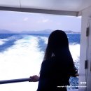 외도 보타니아, 해금강: 거제도 여행(feat. 가는 법, 입장료, 배 시간)