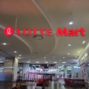 시호비전롯데마트창원점 | 김포공항 롯데몰 안경 맞추기, 시호비전 김포스카이점 후기(어린이안경, 다초점렌즈)