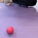 베어락 스트렝스 짐 이미지