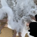 강릉정동진레일바이크 이미지