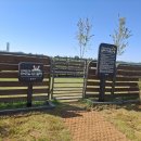 어울림공원 앞 이미지