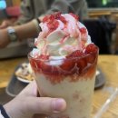 할리스충북진천점