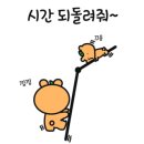 오송애견 이미지