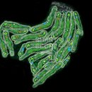 블루원 스크린골프 이미지