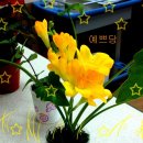 감물매운탕 이미지