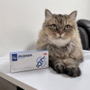 프로텍 앞 이미지