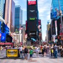 공인서초번역행정사사무소 이미지