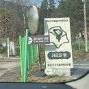 유양초등학교 | 햇살 가득 넓은 정원이 너무 좋았던 양주 애견 동반 카페 버터우드