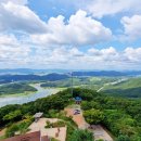 보강천 미루나무숲 이미지