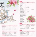 단양생태체육공원 1 이미지