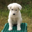 건영축산 이미지